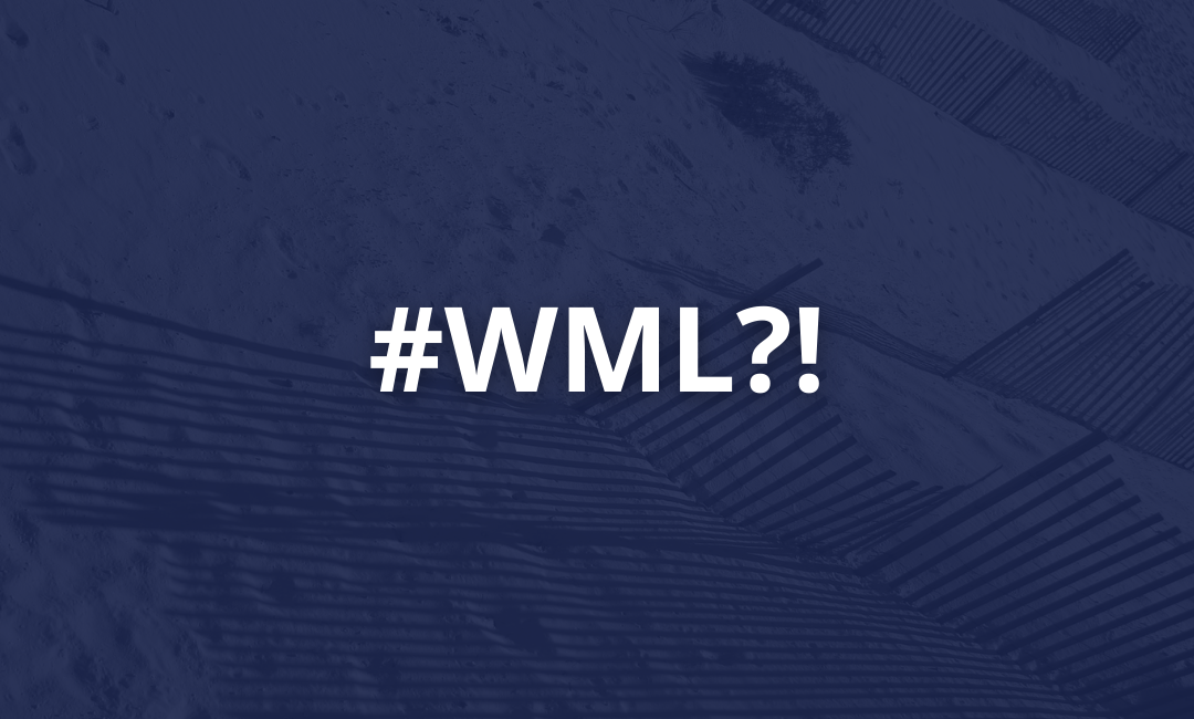 #WML – What in the world is Machine Learning? And How Can It Help my Vacation Rental Business?